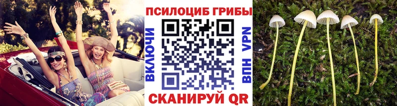 Псилоцибиновые грибы MAGIC MUSHROOMS  Пугачёв 